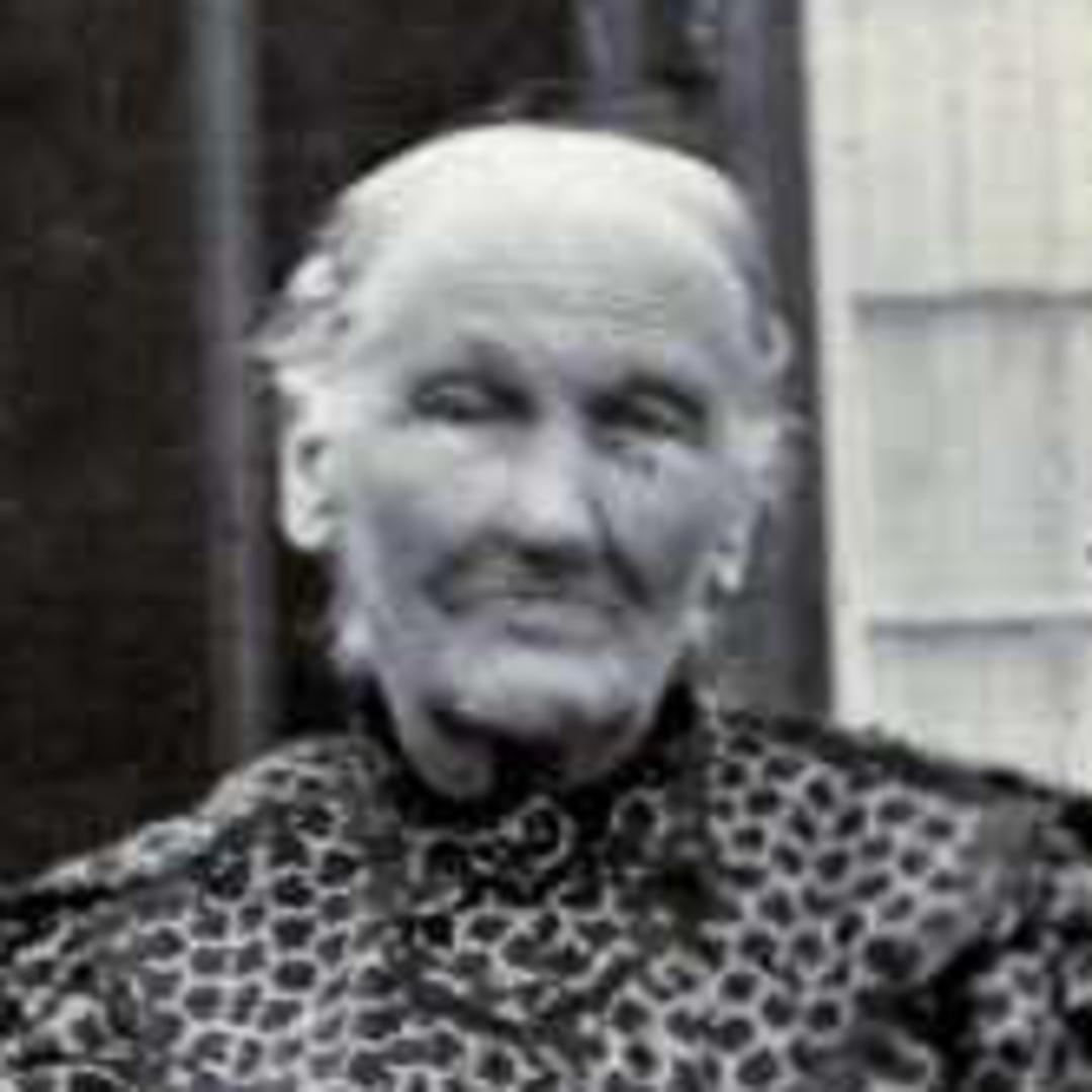 Jane Gertrude Howard (1831 - 1906) Profile